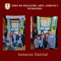 Feria de Educación, Arte, Ciencias y Tecnología: instancia distrital